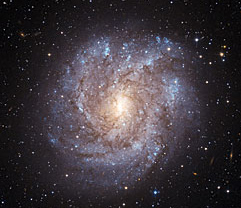 Hubble imge of NGC 2082; click to engalactinate.