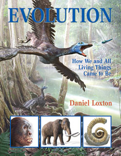 loxton_evolution