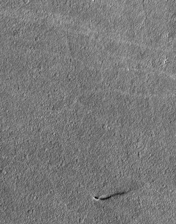 hirise_dustdevil_context.jpg