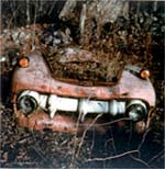 Junked Car, Old Lyme, Conn., 1973-74
