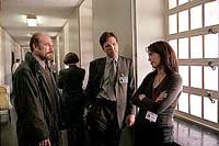 l-r: Martin Donovan, Michelle Forbes, Ted Levine
