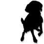What Is the Most Disloyal Dog Breed?