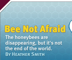 Science: Bee Not Afraid