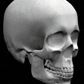 How To Make a Bong Out Of a Human Skull