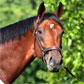Open the Triple Crown to Horses of All Ages!