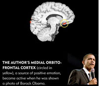 Goldberg’s medial orbitofrontal cortex. Click image to expand.