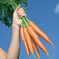 One-Armed Vegetarian Live-In Boyfriends: The Soccer Moms of 2008!