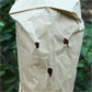 A Great Horror Film About Paper Bags