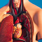 When It's OK To Harvest Organs From Living People