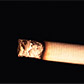 Lithwick: If You Can't Sue Cigarette Companies, Whom Can You Sue?