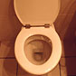 Why I Wrote a Book About Human Waste