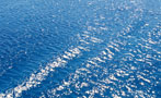 You're the Lone Survivor of a Plane Crash in the Ocean. Now What?