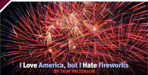 A Fine Whine: I Love America, but I Hate Fireworks