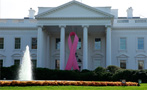 How Do I Get the President To Give My Disease an Awareness Month?