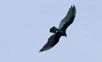 Let the Deficit Hawks Squawk: America’s Finances Will Be Fine