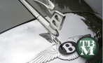 What Ever Happened to Hood Ornaments?