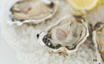 Thanks, FDA, but We Don't Need Your Protection From Raw Oysters
