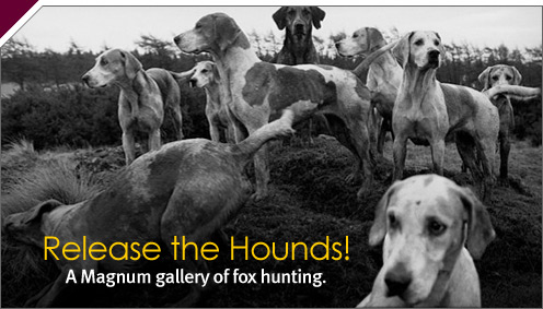 Magnum Photos: Release the Hounds!