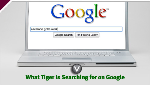 Slate V: What Tiger Is Searching for on Google