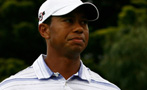 How Did They Calculate That Tiger Did $200 Damage to That Tree?