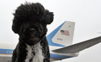 Exclusive Excerpts From the Obama Holidaa Card!