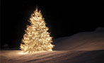 Was Jesus a Common Name in the Year Zero?