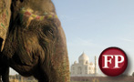 Why India Is a Greater Global Villain Than You Think