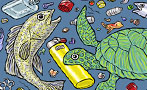 Why We Shouldn't Bother Cleaning Up the Great Pacific Garbage Patch