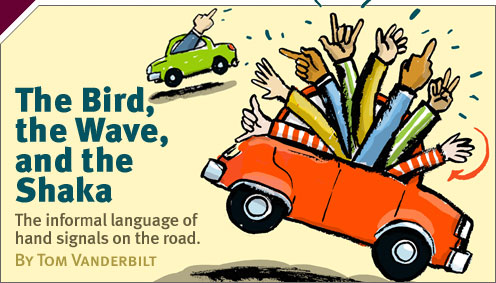 Transport: The Bird, the Wave, and the Shaka