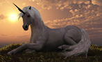 The Real Reason You Never See Unicorns Anymore