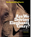 The New York Times Magazine.