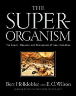 The Superorganism: The Beauty, Elegance, and Strangeness of Insect Societies by Bert Holldobler and E.O. Wilson.