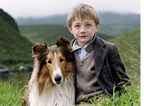 Mason as Lassie and Jonathan Mason as Joe Carraclough. Click image to expand.
