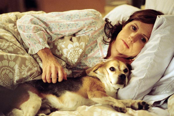 Molly Shannon and Pencil in Year of the Dog.