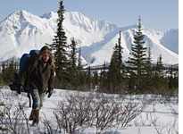Into the Wild.