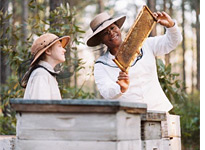 The Secret Life of Bees. Click image to expand.