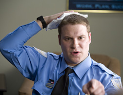 Observe and Report. Click image to expand.