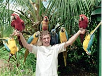 A Switched! kid encounters diversity, Hawaiian style