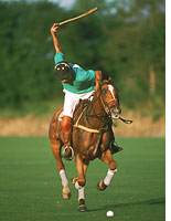 ESPN2 now features polo. Click image to expand.