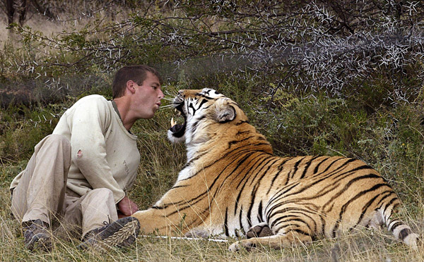 dave salmoni twitter. Dave Salmoni plays with Ron, a Bengal tiger.