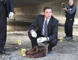 Law&Order: LA. Click image to expand.