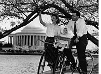 The Nixon family on bicycles under the cherry trees
Click image to expand.