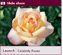 Click here for a slide show