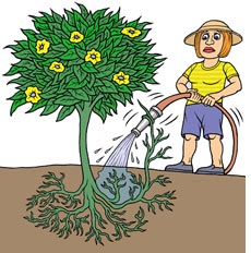 Illustration by Mark Alan Stamaty. Click image to expand.