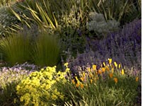 A garden at the Denver Botanic Gardens