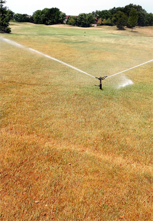 One way to cope with dry spells is to make soil drought-resistant.