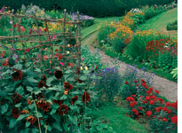 Bell Garden. Click image to expand.