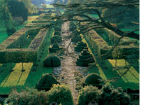 Topiaries. Click image to expand.