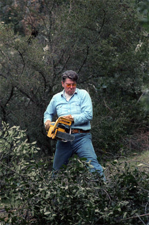 Ronald Reagan clearing brush.