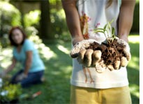 Gardening with children